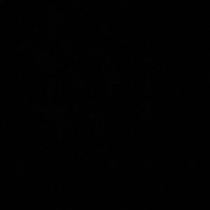 Meet your Posher, Hansel